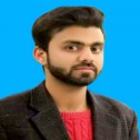  Hamza Saleem 