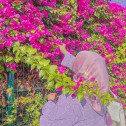  Sehar Batool 